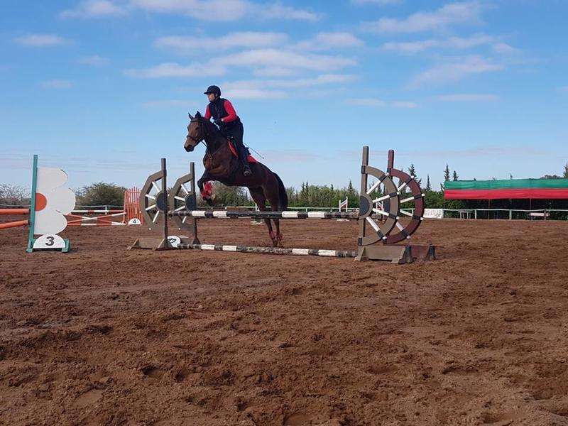 La-ferme-equestre-tensift-Marrakech